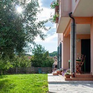 Lavandula Labin (Istria)